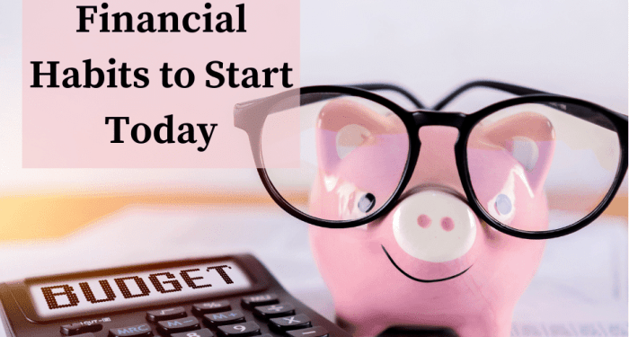 Financial Habits | 14 Smart Financial Habits to Start Today